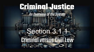 Section 311 Criminal versus Civil Law [upl. by Tacklind103]