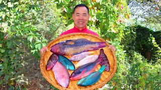 Colorful Fish From Deep Sea Cooked in Sour Sweet Spicy 5Flavor All at Once Uncle Rural Gourmet [upl. by Ainavi484]