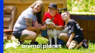 Dog Is Super Happy To Be Adopted By Loving Family  Pit Bulls amp Parolees [upl. by Sim]