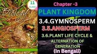 Class 11 Plant Kingdom part 2theory from ncertbiology for neet aiims nurshing Harunbiozone [upl. by Ycats780]