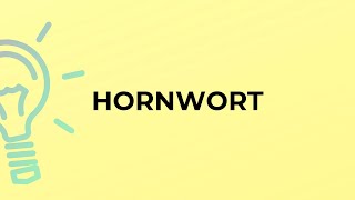 What is the meaning of the word HORNWORT [upl. by Olette368]