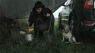 Rainy Solo Camping Adventure with my Canine Companion and Trusty Volvo XC70 [upl. by Leumhs]