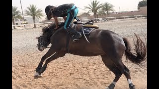 FAIL 8 Year Old Girl Falls Off Pony [upl. by Nacul997]