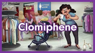 Clomiphene Mnemonic for USMLE [upl. by Anestassia865]