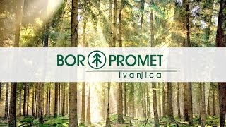 BOR PROMET Ivanjica  Proizvodnja montažnih kuća i objekata [upl. by Katrine874]