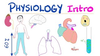 Physiology Introduction  What is Physiology  A Complete Playlist  Doctors Nurses Undergrads [upl. by Ahsatsan811]