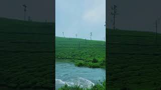 VALPARAI koozhangal river bridge [upl. by Saihttam]