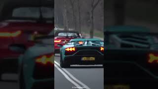 GINTANI Aventador SVJ RACING Through the woods [upl. by Gunner]