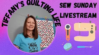 Sew Sunday 7923 Geese Gone Wild Quilt 😊 Part 2 [upl. by Googins]