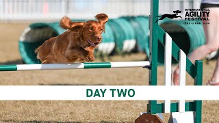 The Kennel Club International Agility Festival 2024  Day 2 Main Ring [upl. by Strephonn]