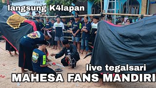 full k4lapan Sampek kalangan menyempit MAHESA FANS MANDIRI LIVE TEGALSARI [upl. by Aihsia662]