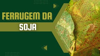 Como controlar a ferrugem da soja [upl. by Annaehr]