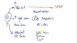 Plasma cell disorders Multiple myeloma MGUS Waldenstrome macroglobulinemia [upl. by Aldercy]