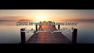 أغنية تركية روعة مترجمة  Koray Avci  Aşk Sana Benzer  Arabic Translation [upl. by Ahsiugal]