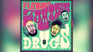 Flatbush Zombies Fan Video [upl. by Tuchman]