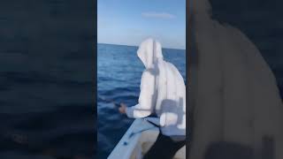 Wide Open Yellowfin Tuna Fishing in San Diego [upl. by O'Driscoll616]