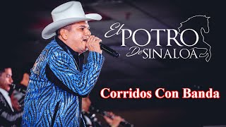 El Potro De Sinaloa  Puros Corridos Viejitos Con Banda Album Completo [upl. by Finlay189]