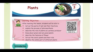 PLANTS  PART 1  UNIT 3  TERM 2 SCIENCE  4TH STD  ENGLISH MEDIUM [upl. by Nod701]