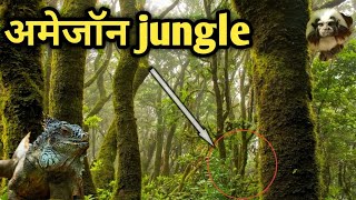 अमेज़न जंगल का निर्माण कैसे हुआ How was the Amazon forest formed 😱😱 [upl. by Annalise]