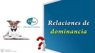 🤔 Relaciones de dominancia 💯✅ [upl. by Bertasi462]