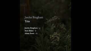 Jascha Bingham Trio  Emily Improvisation [upl. by Zil704]