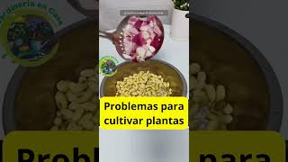 Guía Práctica para Evitar Hojas Secas en tus Plantas Estrategias Efectivas y Etiquetas Relevantes [upl. by Vonny609]