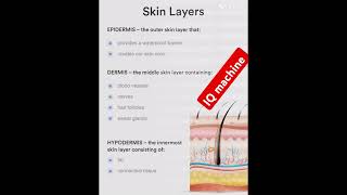 From Epidermis to Hypodermis A Journey Through Your SkinLayersbiology viraltrendingshorts gkgs [upl. by Bainbridge39]