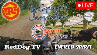 RedDogTV et son InterceptDOG chez Jacqueline Royal Enfield 650 [upl. by Lyndel979]