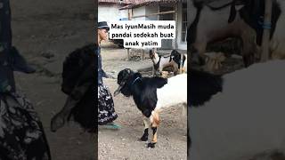 Mas iyun masih muda sudah pandai sedekah buat anak yatim dan janda tuasosok mas iyun panutan kita [upl. by Mharg149]