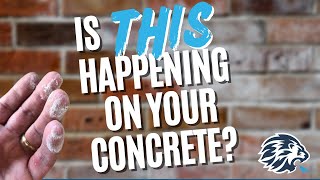 Understanding Efflorescence on Concrete The Silent Killer of Your Property  EXPLAINED 😲🧱 [upl. by Bethena278]