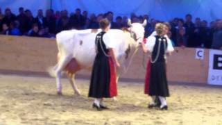 Bernische Eliteschau 2015 Wahl der Miss BEA [upl. by Casimire]