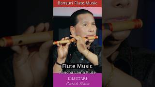 Flute Music  Flute Solo  Bansuri Song  Basuridhun  Instrumental Music flute flutemusic shorts [upl. by Montagu785]