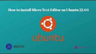 How to install Micro Text Editor on Ubuntu 2204 [upl. by Igic225]