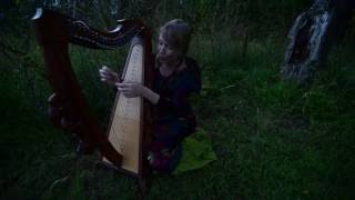 Celtic harp in Swedish forest [upl. by Ahserak]