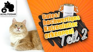 🔥Gutes Katzenfutter  hochwertiges Katzenfutter erkennen Analytische Bestandteile [upl. by Assenad663]