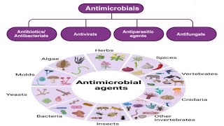 ANTIMICROBIAL AGENTGENERAL PHARMACOLOGYINTRODUCTIONPHARMACOLOGY REVISIONPHARMACYCLASSIFICATION [upl. by Nylzzaj]