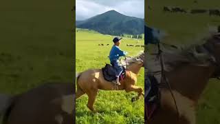 Meet the Worlds Youngest Horseback Experts [upl. by Yeltsew173]