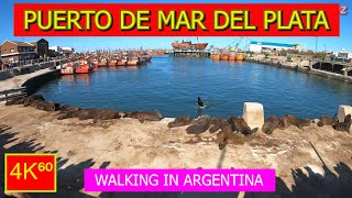 4K⁶⁰  👉 PUERTO DE MAR DEL PLATA ☀️  ARGENTINA  Walking tour  TRAVEL 🌟 [upl. by Arataj]