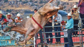 El G63 Sigue Imparable Ahora Le Tocó Dar Suelo A GUAYAVITA DE JALISCO PORTERVILLE CA 20072024 [upl. by Storer]