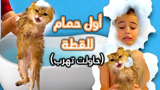 خلودة حمم القطة جولدي   هربت منا وصارت تخرمش😱 [upl. by Caldwell149]