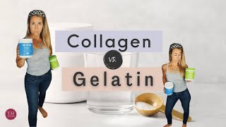 COLLAGEN vs GELATIN  Benefits amp Uses of Collagen Protein Powder  Taylored Health [upl. by Hedley390]