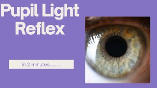 Pupil light reflex in 2 minutes [upl. by Rozek]