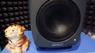 GENELEC 8040 BPM [upl. by Oad]