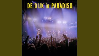 Dansen Op De Vulkaan Paradiso 2019 [upl. by Radloff]