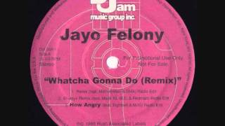 Jayo Felony feat Method Man and DMX  Whatcha Gonna Do Remix 12quot Promo Single [upl. by Ettesil535]