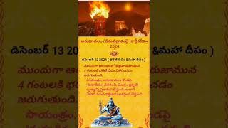 Arunachalam karthika deepam December 2024 13  bharni deepam ma ha deepam 🙏 [upl. by Ahcim]