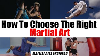 How To Choose The Right Martial Art For You [upl. by Aura]