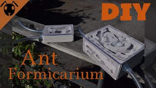 How to make a DIY Ytong formicarium Ant nest Tutorial [upl. by Hervey]