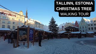 City walks series  TALLINN ESTONIA  CHRISTMAS TREE 2022 WALKING TOUR [upl. by Ratep]