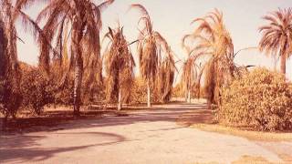 History of McAllen 19811990 [upl. by Aleb942]